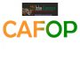 Tout savoir sur le concours d'entrée au CAFOP pour les instituteurs adjoints en Côte d'Ivoire en 2023-2024