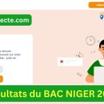 RÉSULTATS BAC NIGER 2024